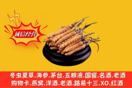 衡水冀州区求购回收虫草多少钱每克